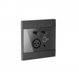 Настенная панель управления AUDAC WP225