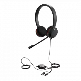 Гарнитура Jabra EVOLVE 20, стерео, версия MS, USB-C