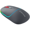 CANYON mouse MW-22 2in1 BT/ Wireless Dark Grey — фото 2